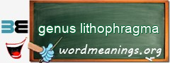 WordMeaning blackboard for genus lithophragma